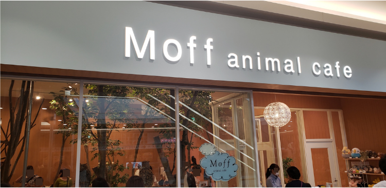 Moff animal café (モフ　アニマル　カフェ)